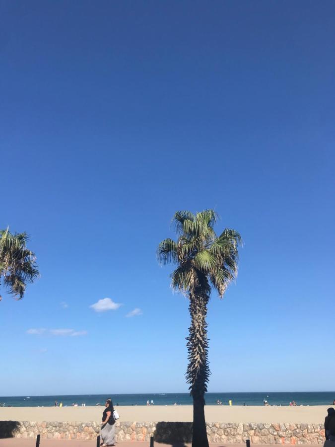 Studio Plage Canet-en-Roussillon Ngoại thất bức ảnh